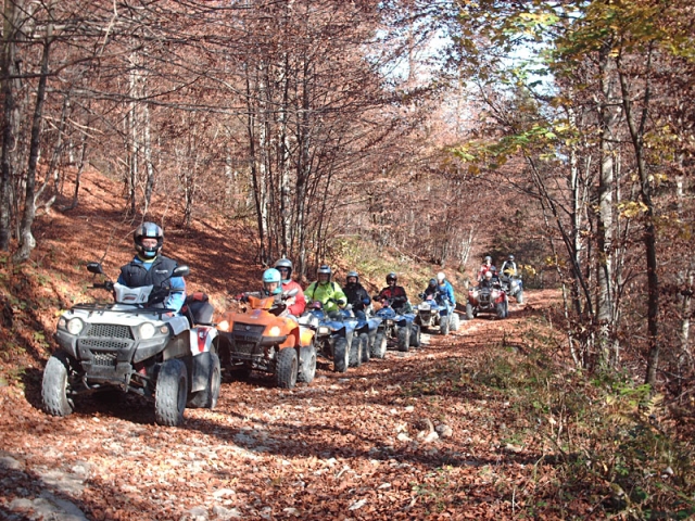 Quad in fila indiana.jpg